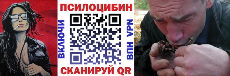 Купить где  Суздаль  Галлюциногенные грибы мицелий 