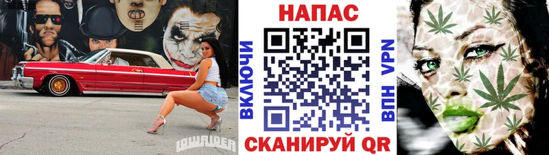 Каннабис White Widow  Купить закладки  Суздаль 